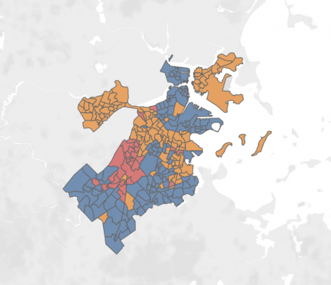 How did Boston vote in the 2020 presidential primary?