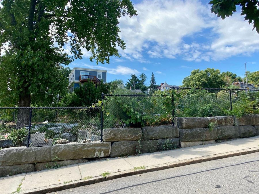 Boston community gardens offer a refuge for residents during the pandemic