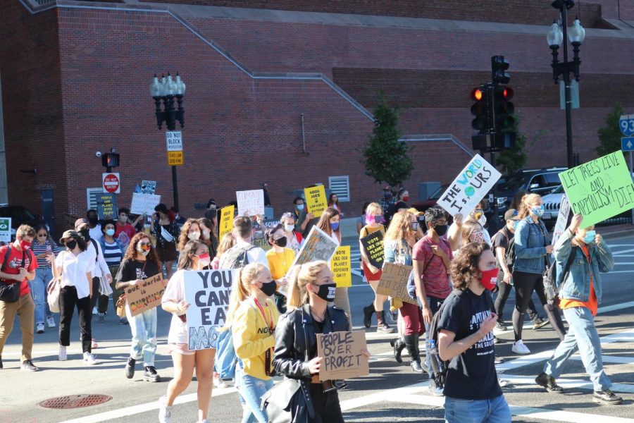 Protesters at the Climate Justice Strike