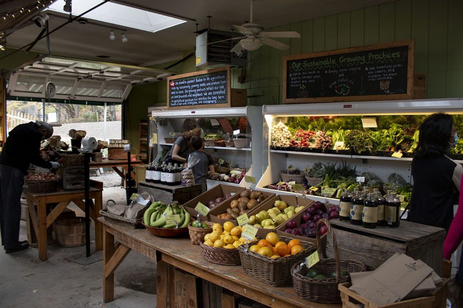 Allandale Farm in Brookline 