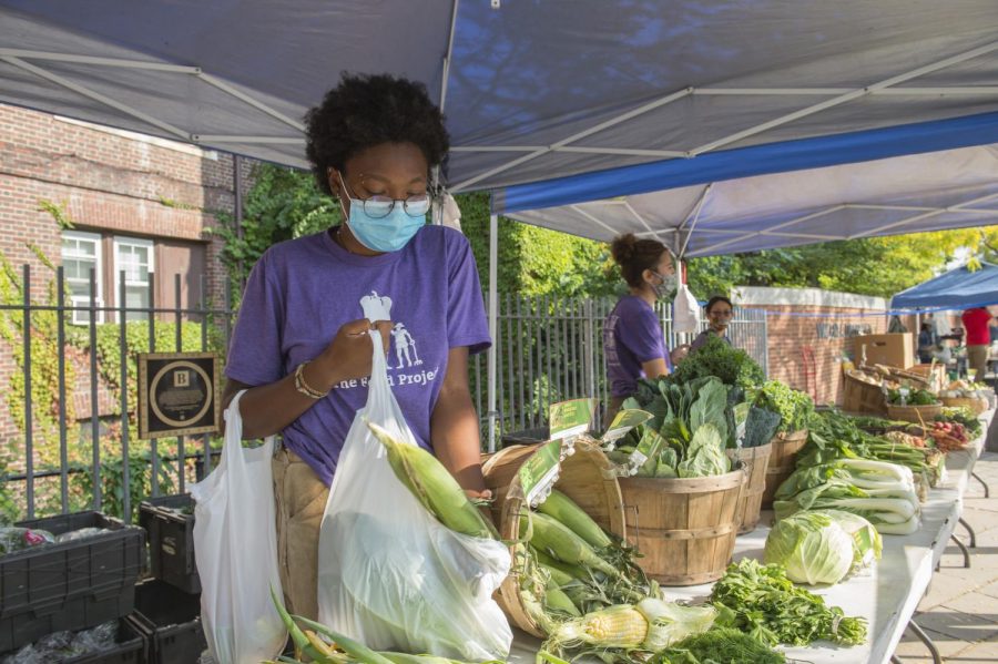 Staff working at The Food Project's affordable Farmers' Market