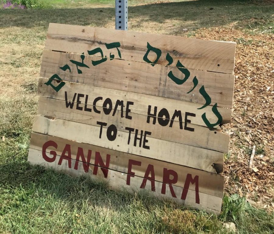 Wooden sign in Hebrew and English lettering in front of garden beds at Gann Farm.
