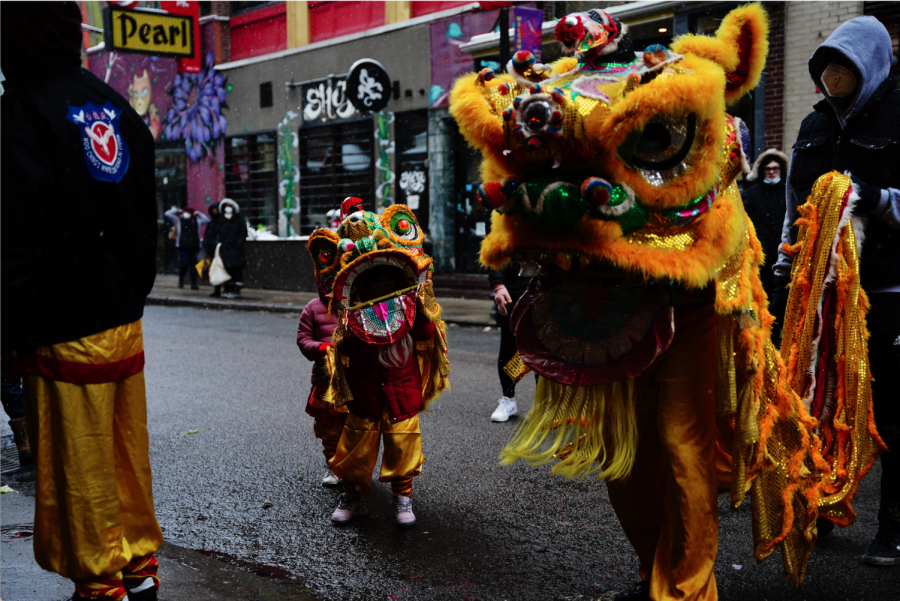 A young lion and an old lion dance together in Bostons Chinatown parade on the Lunar New Year. 