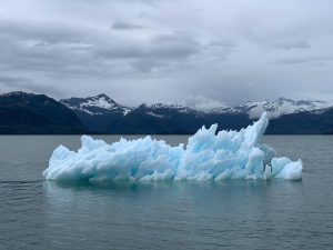 An iceberg from the Columbia Glacier in Prince William Sound, Alaska. Melting permafrost is releasing into the atmosphere ancient eukaryotic viruses that have been dormant for 48,500 years. Scientists are debating the potential risk these viruses pose for humans. Photo by Melissa Bradley is licensed on Unsplash. 
