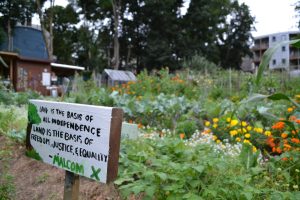 Boston, MA: Aug. 17, 2023 — At the Thornton Street Urban Farm and Community Garden, signs remind visitors of Haley Houses work to uplift the neighborhood through access to nutritious, locally grown food.  