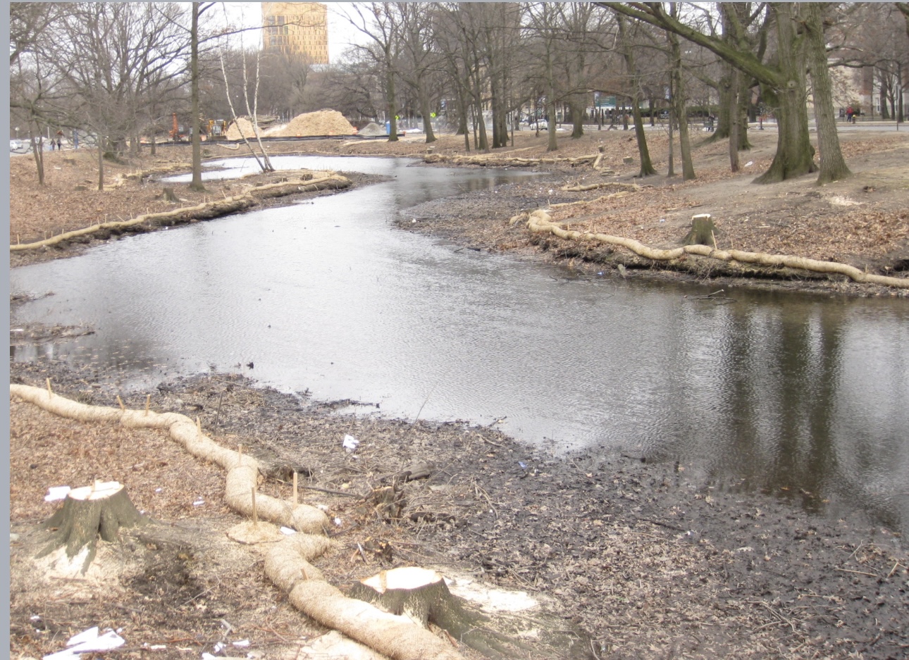 With the Muddy River Restoration complete, what’s next? - The Scope