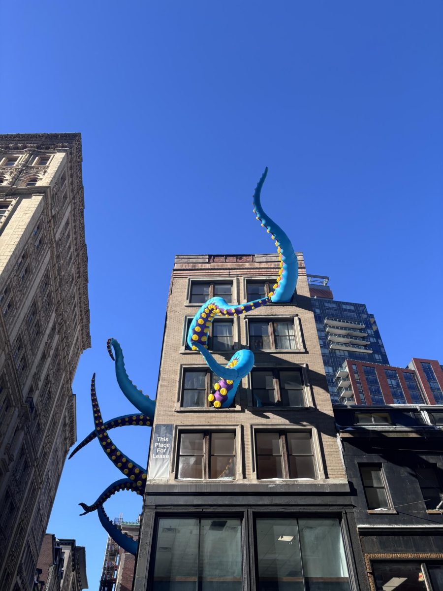 Winteractive art installations bring excitement to Downtown on a cold winter day.